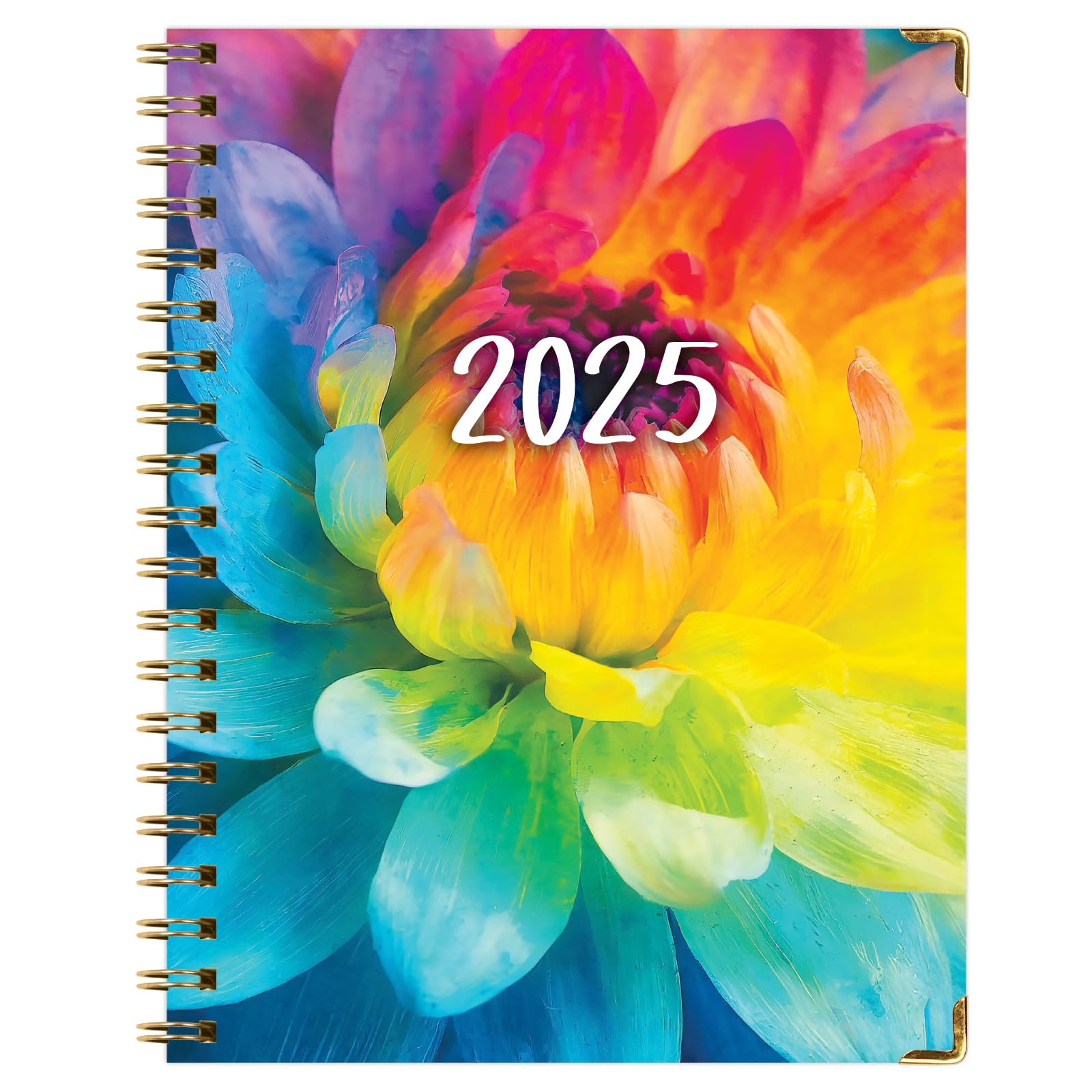1     HARDCOVER 2025 Planner, 8.5"x11": 14 Months (November 2024 - December 2025), Daily Weekly Monthly Planner, Yearly Agenda, Bookmark, Pocket Folder and Sticky Note Set (Pastel Peacock)