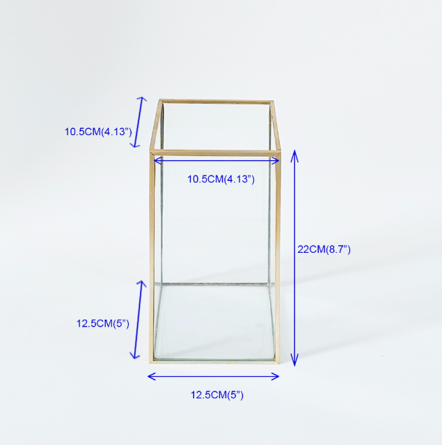 A 3.4L trapezoidal desktop glass vase with gold - inlaid edges, no welding points, and waterproof, suitable for Valentine's Day, Mother's Day, and Christmas