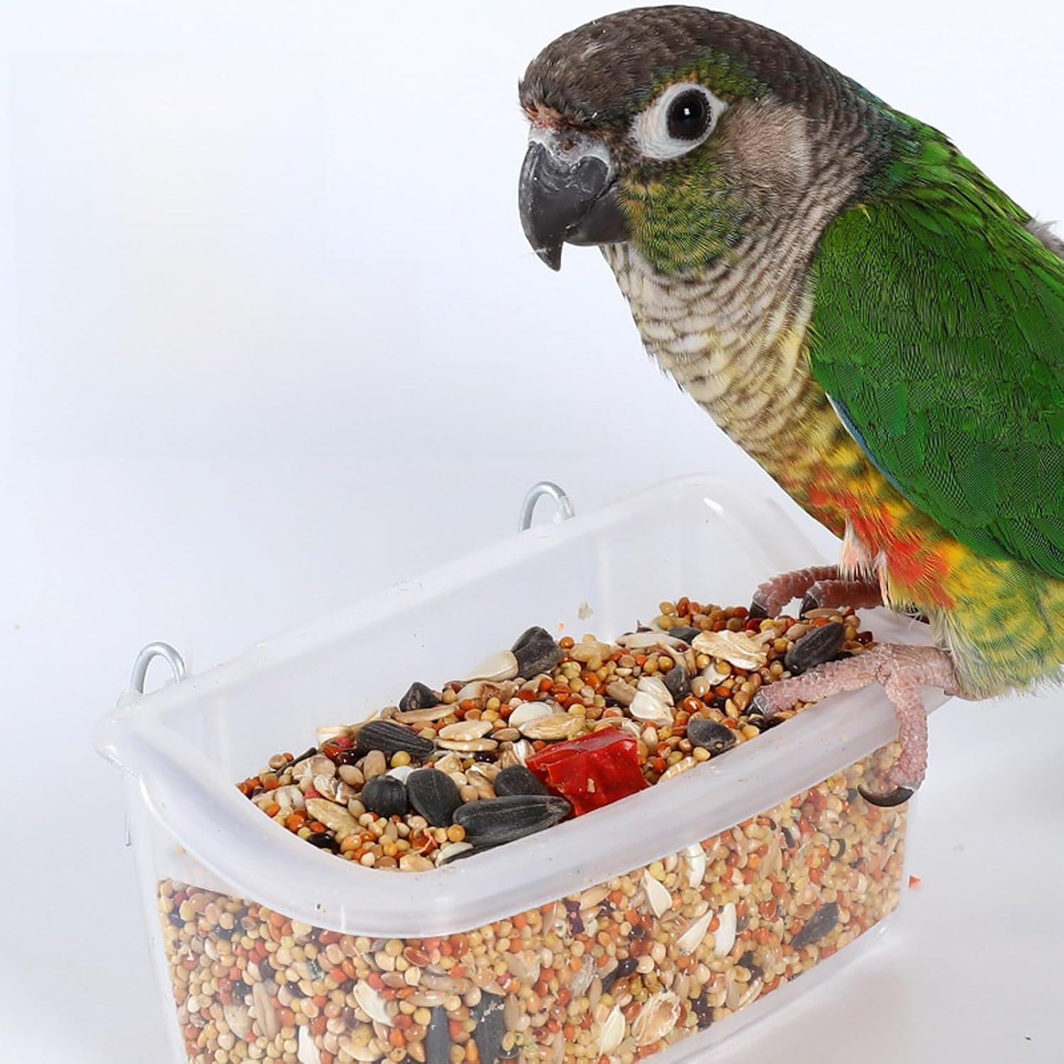 2Pcs Transparent Hanging Bird Cage Feeders & Food Bowls for Parrots and Parakeets, Splash-Proof Design, Easy Install with Hook for Cage