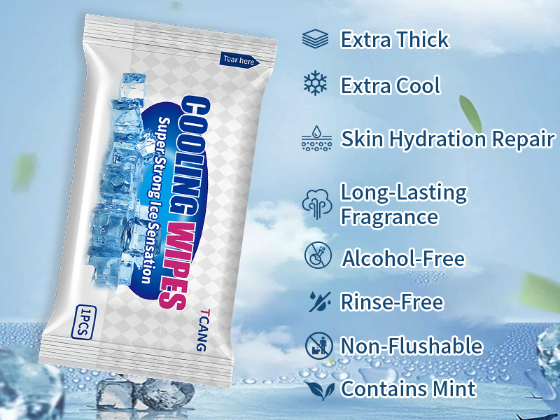 10 Pack Cooling Body Wipes, Alcohol-Free Cooling Towelettes Cooling Towel Alternative for Outdoor Sports, Camping, Hiking, Workout & Hot Weather(Green)